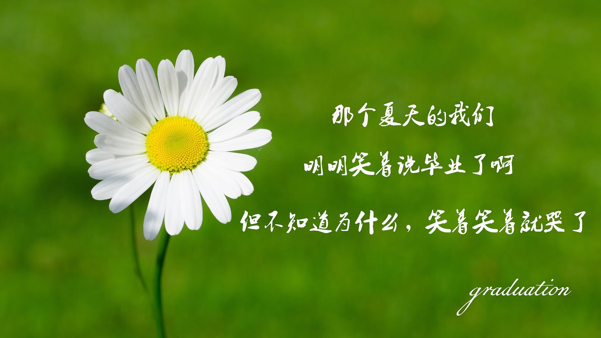 “青春逐梦”青少年篮球文化节在成都盛大开启，弘扬体育精神与文化融合