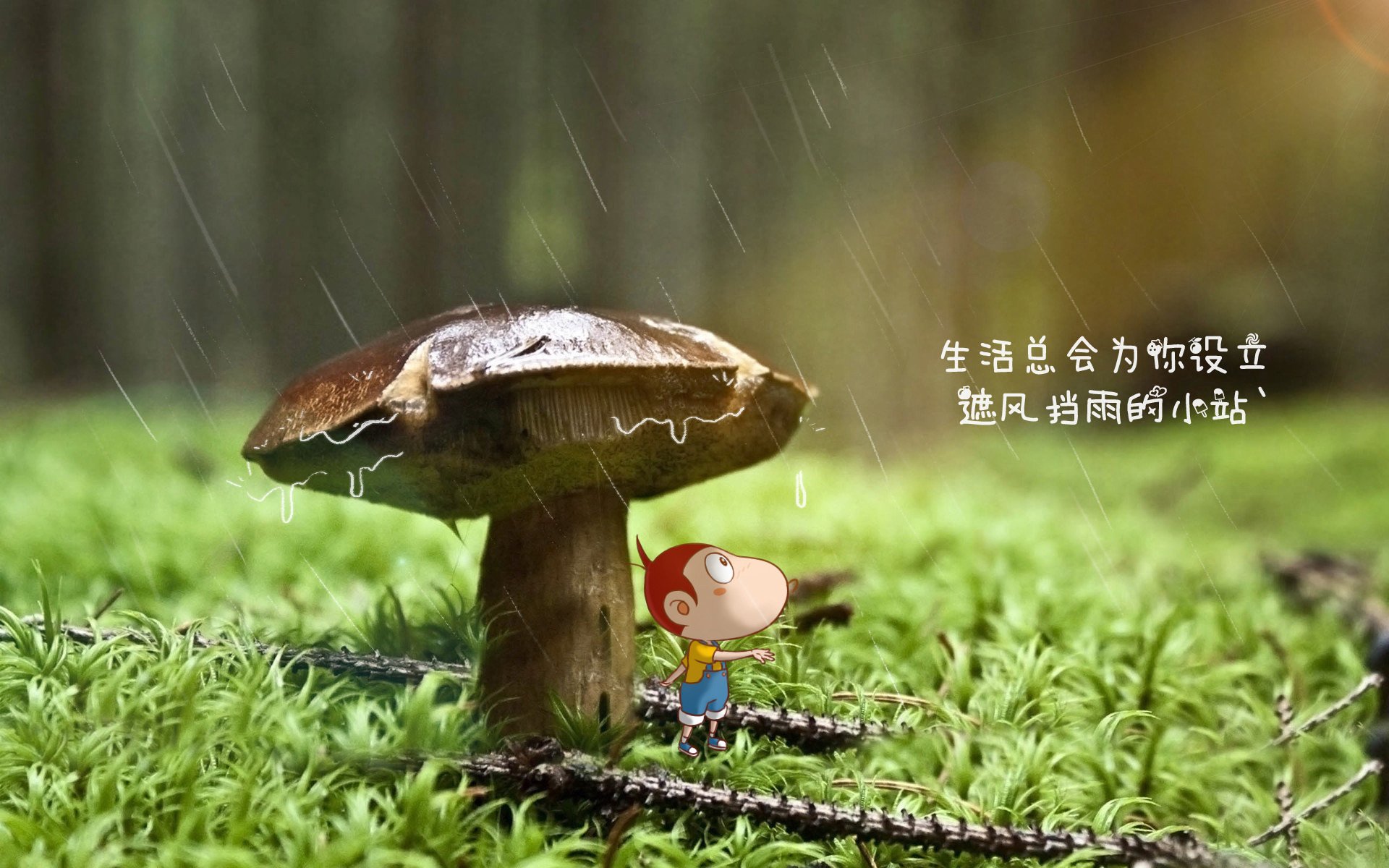 关键转身技术成团队突破点