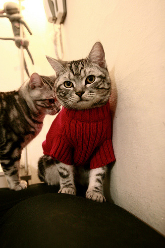 渡边一平决赛表现获教练高度评价，渡边彻百度百科