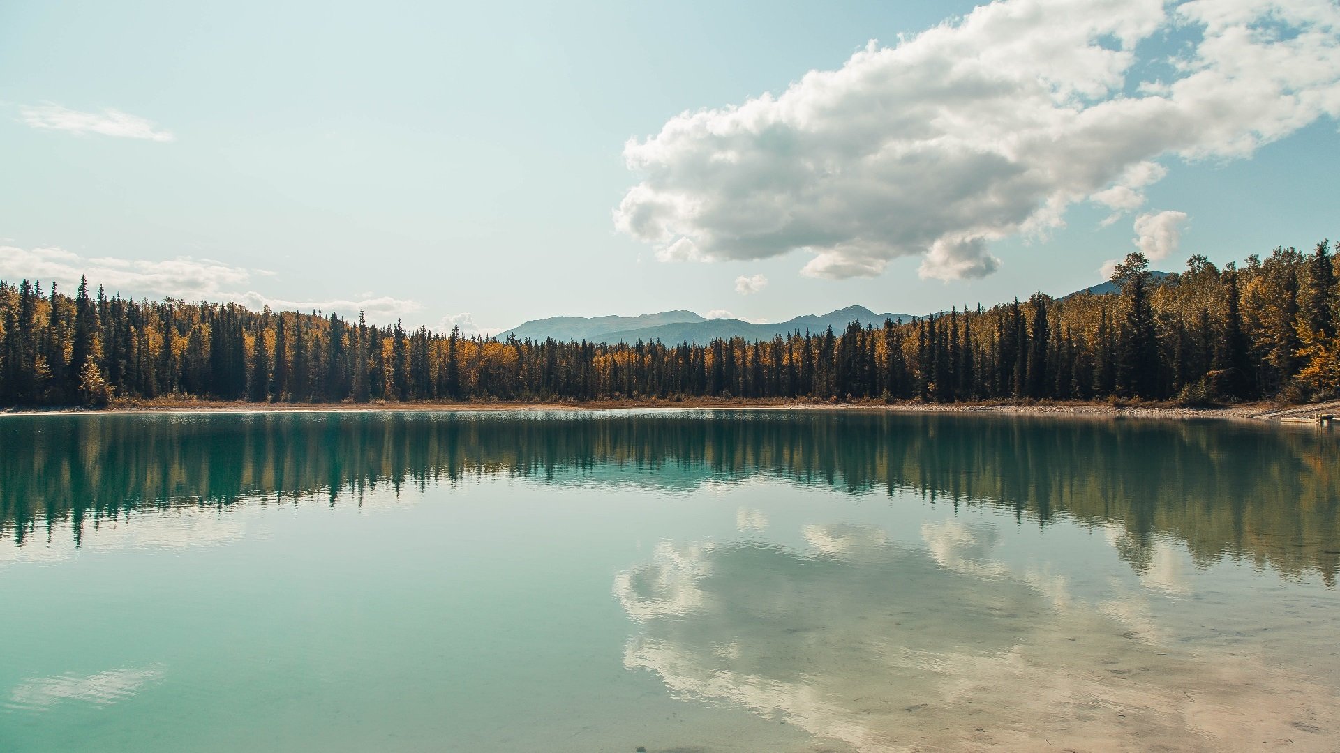 渡边一平决赛表现获教练高度评价，渡边彻百度百科