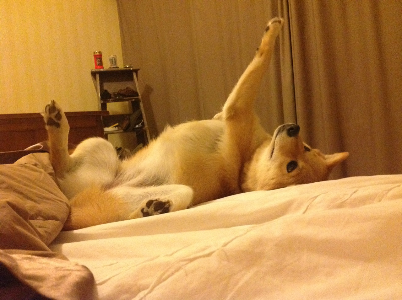 开云入口-里根·史密斯刷新个人最佳成绩，梅根史密斯