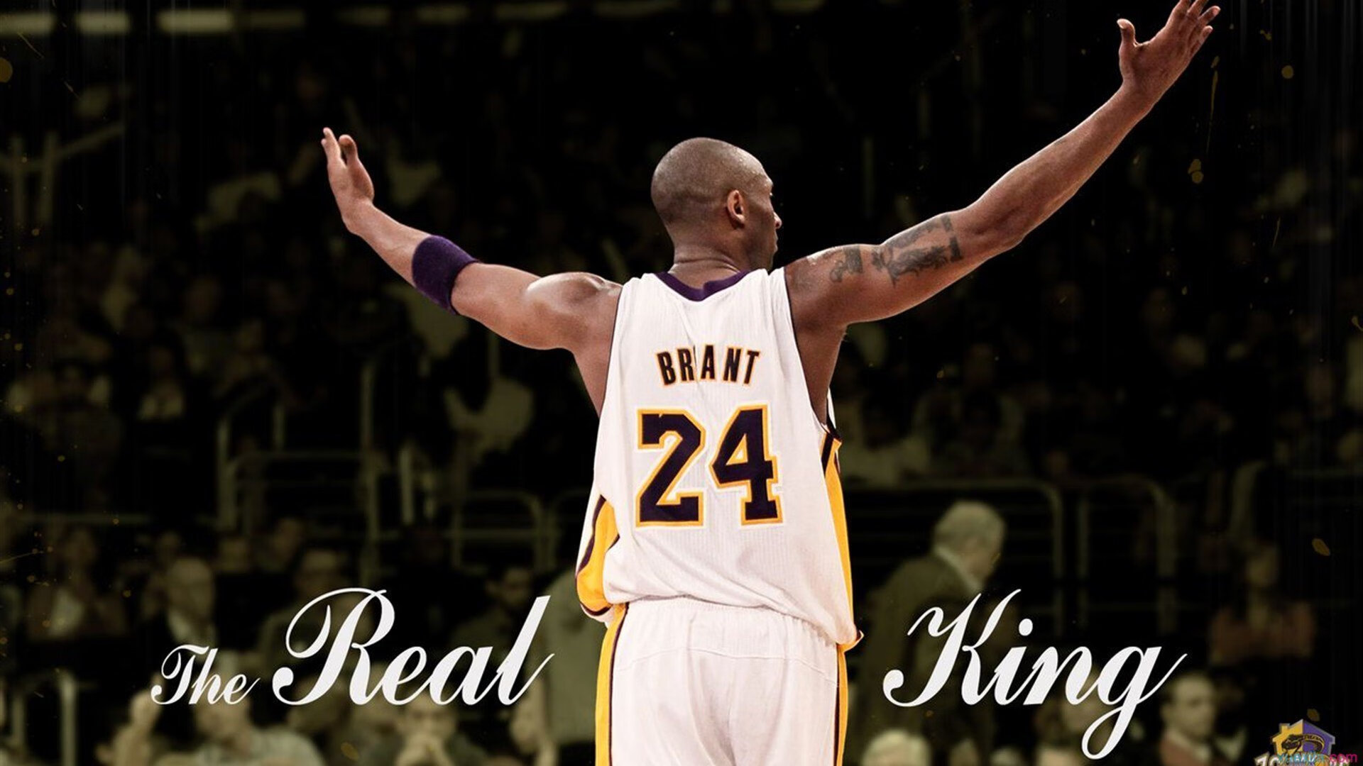 国际乒联公布新赛制改革计划，未来赛事更精彩，国际乒联改变规则